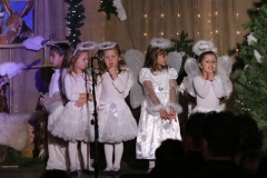 Jaselka 2014